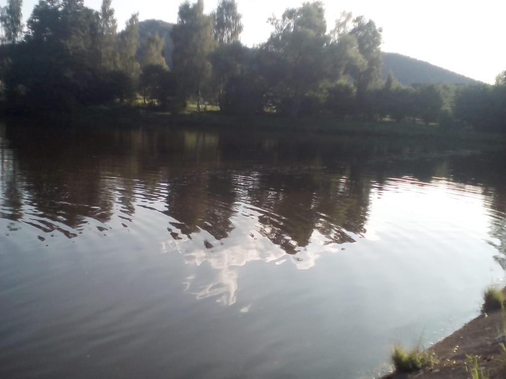 Apartmán 141 Chřibská Esterno foto