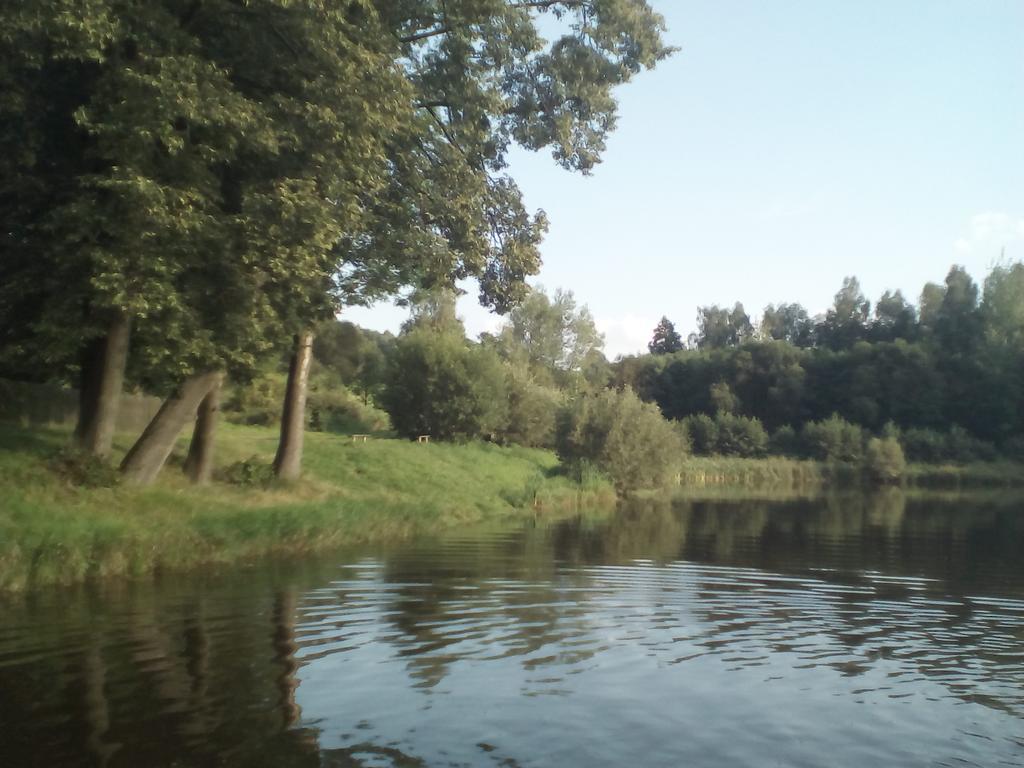 Apartmán 141 Chřibská Esterno foto